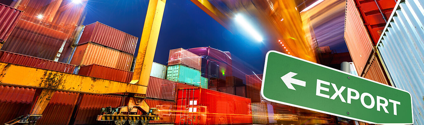 WANT TO EXPORT?